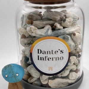 Dante’s Inferno Magic Mushrooms 🍄